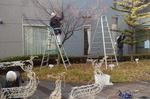 クリスマスイルミネーション2012